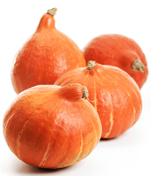 Hokkaido Pumpkin - Vegetable that start with H