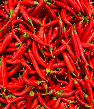 Holland Chile Pepper