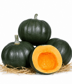 Honey Bear Squash - Vegetable that start with H