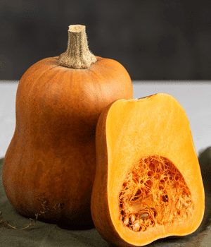 Honeynut Squash - Vegetable that start with H