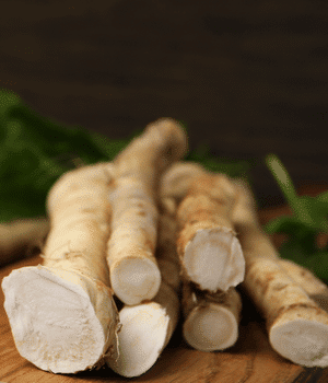 Horseradish - Vegetable Names that begin with H