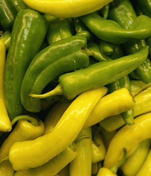 Hot Banana Pepper - Vegetable Names that begin with H