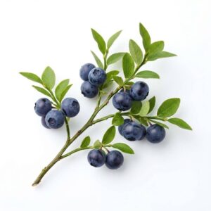 Huckleberry - Fruit From H with Names