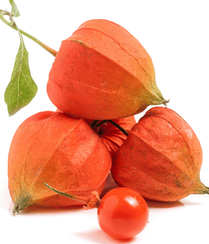 Husk Tomato - Vegetable Names that begin with H