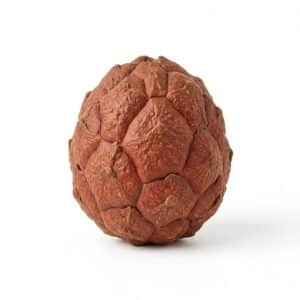 Hydnora Fruit - Fruit From H with Names
