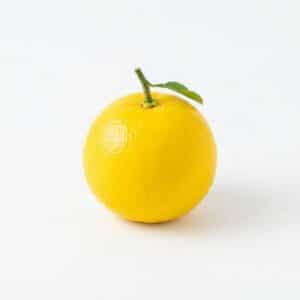 Hyuganatsu - Fruit From H with Names