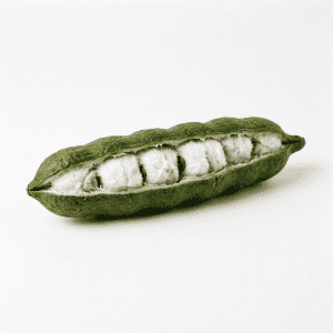 Ice Cream Bean - Fruits that Begins with i with Pictures