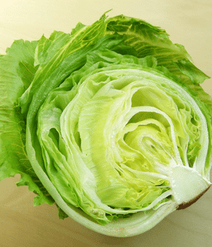 Iceberg Lettuce - Vegetable that start with I