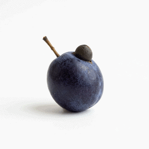 Illawarra Plum - Fruits that Start with i with Pictures
