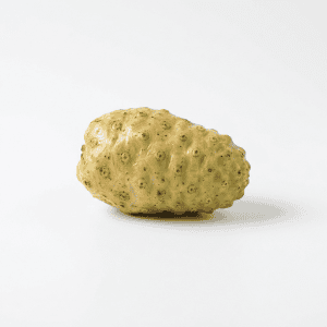 Indian Mulberry (Noni)