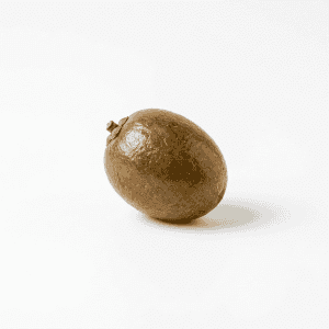 Indian Olive