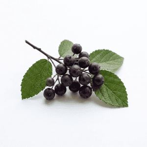 Indian Sherbet Berry - Fruits that Start with i with Pictures