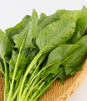 Indian Spinach - Vegetable Names that begin with I