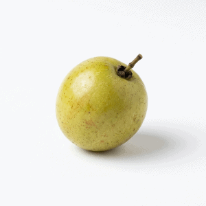 Indian jujube - Fruits that Start with i with Pictures