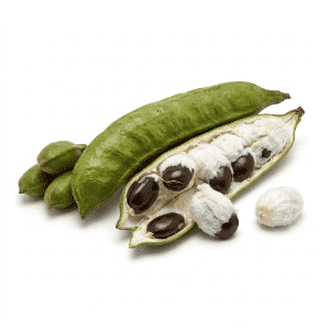Inga Fruit