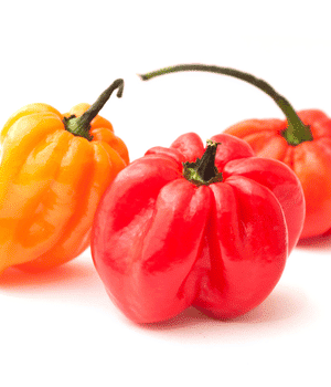 Jamaican Hot Pepper - Vegetable Names that begin with J