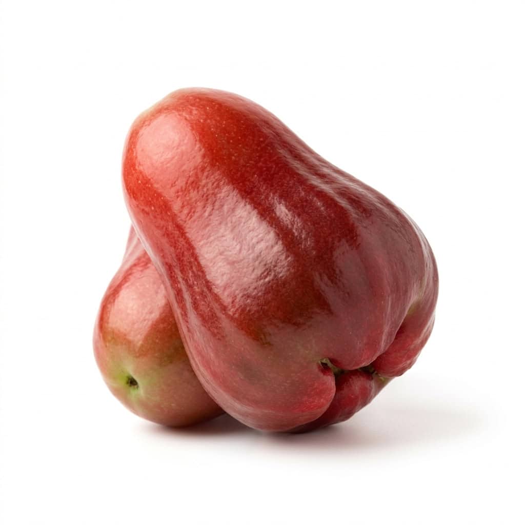 Jambose (Rose Apple) - Fruits that Start with J with Pictures