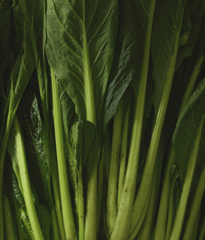 Japanese Mustard Greens - Vegetables that start with J