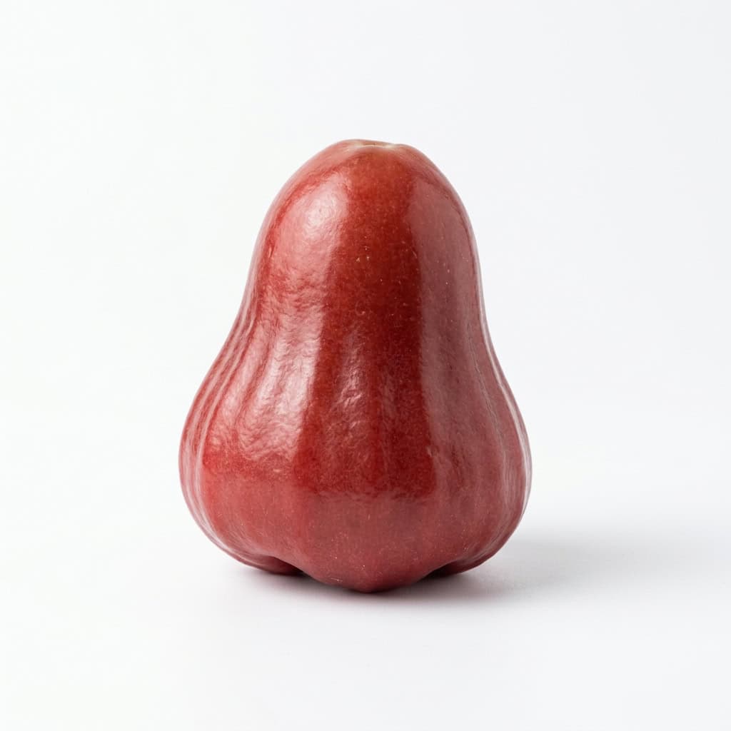 Java Apple (Wax Apple) - Fruits that Start with J with Pictures