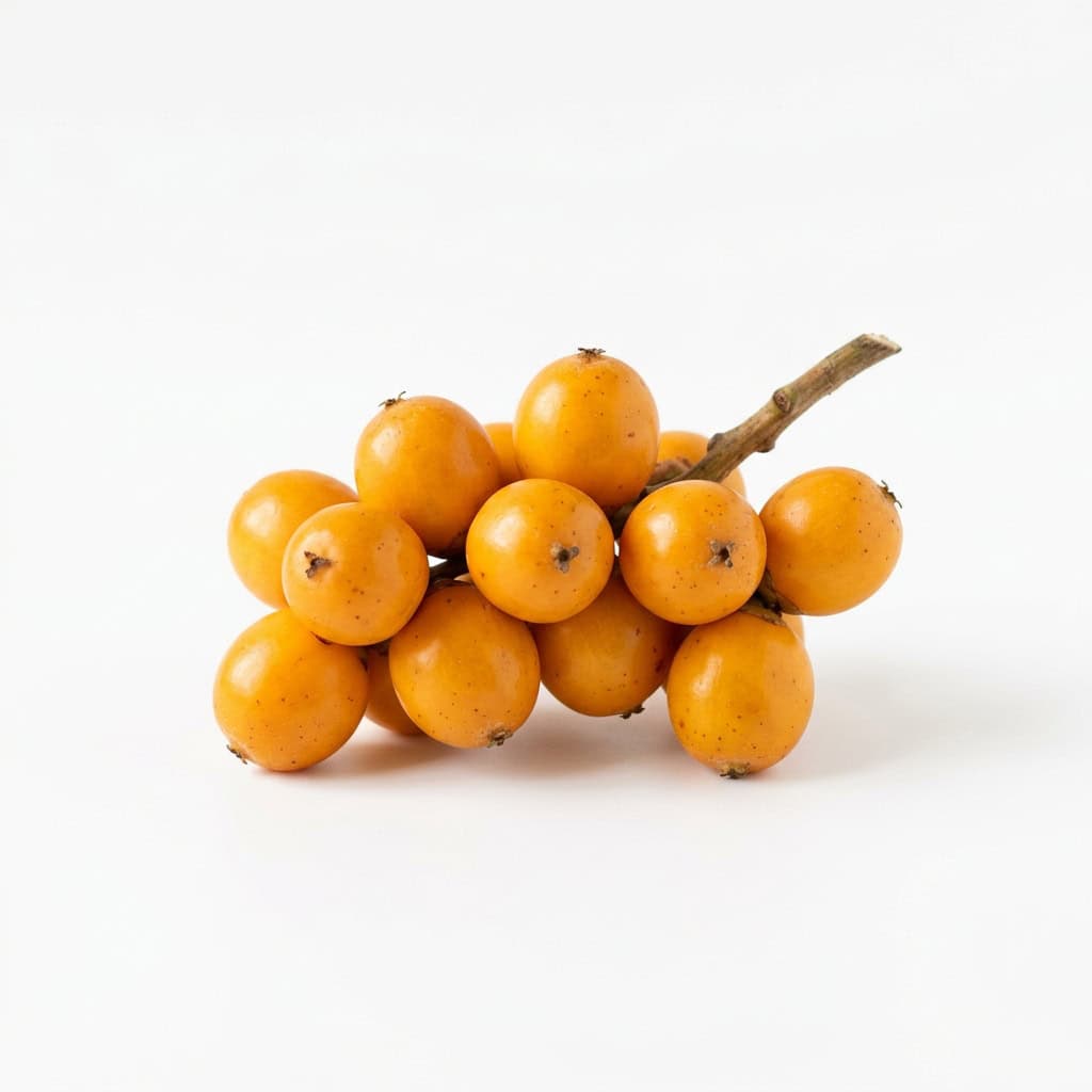 Jelly Palm Fruit