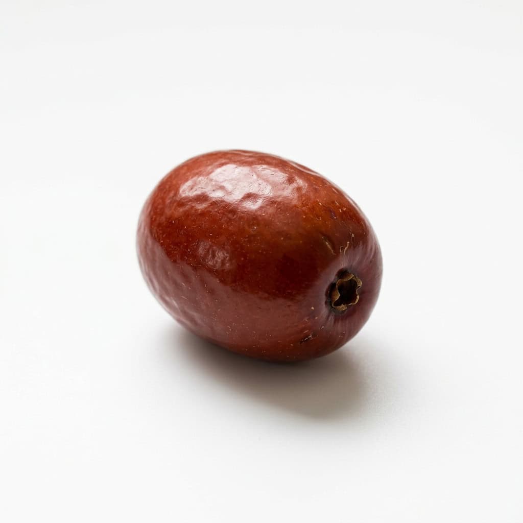 Jujube - Fruit Starting with J