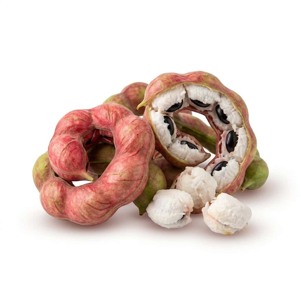 Jungle Jalebi (Madras Thorn)