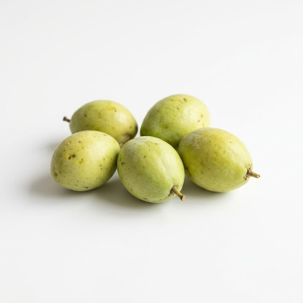 Kakadu Plum - Fruits that Start with K and Pictures