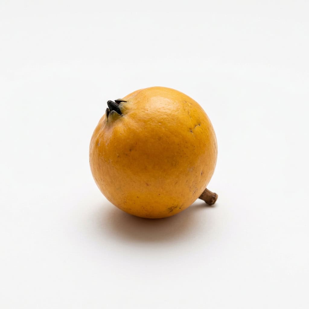 Keule Fruit