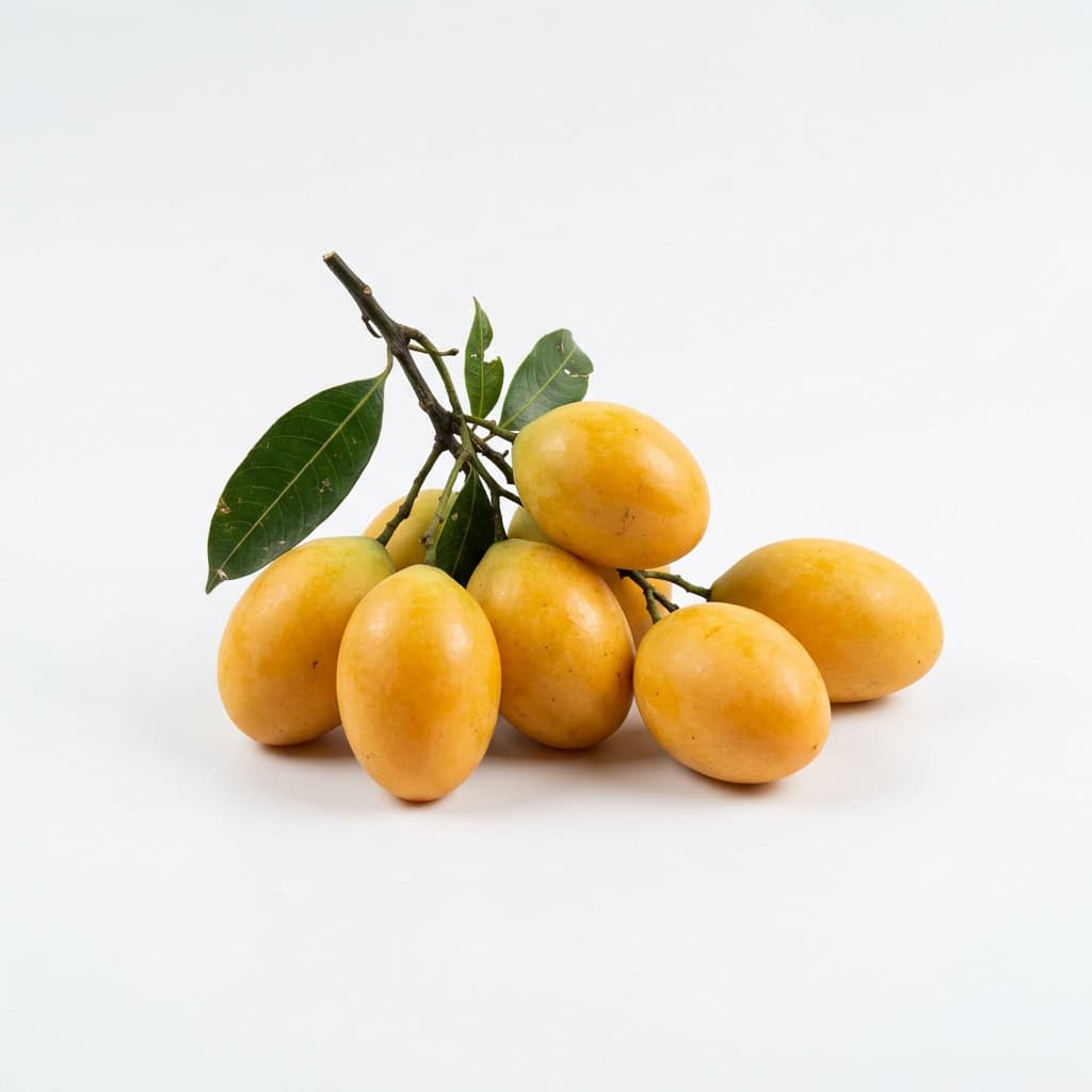 Kundang (Marian Plum)