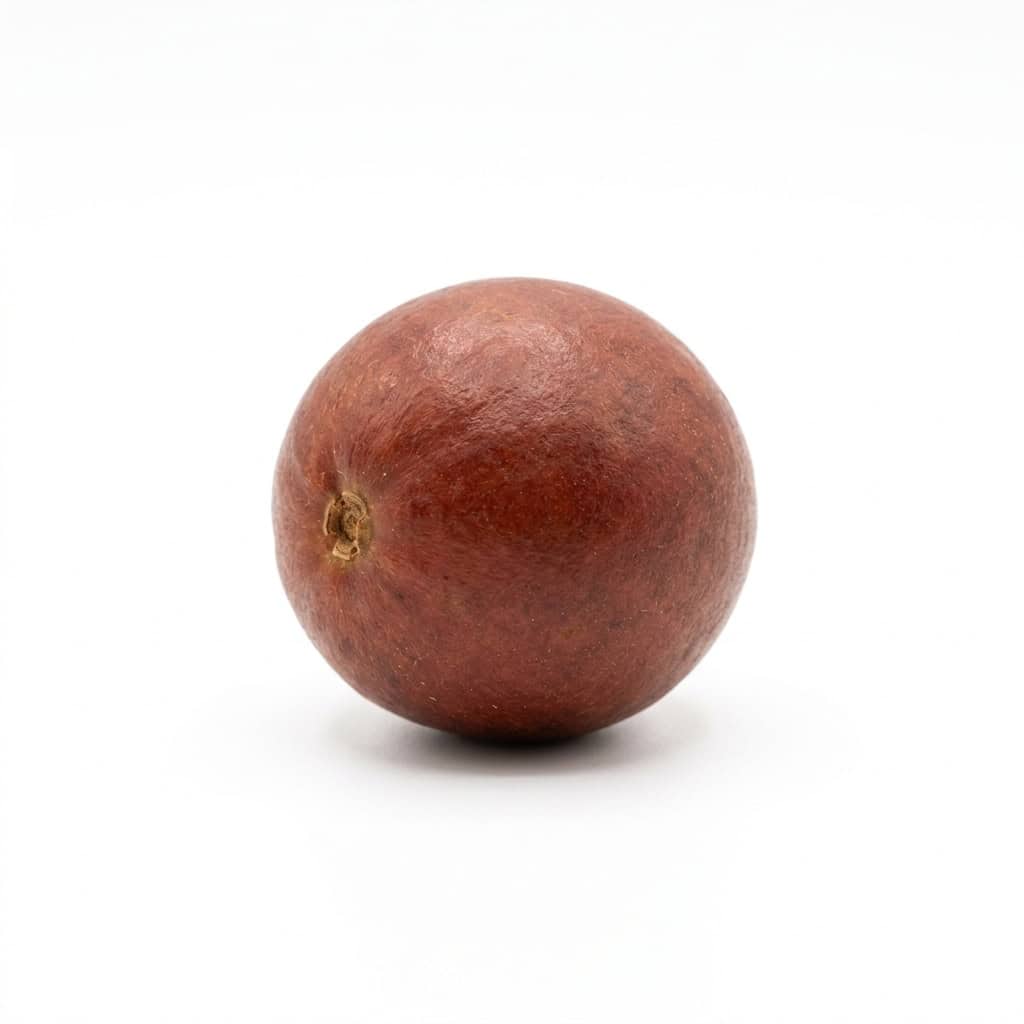Lacre - Fruits that Start with L with Pictures