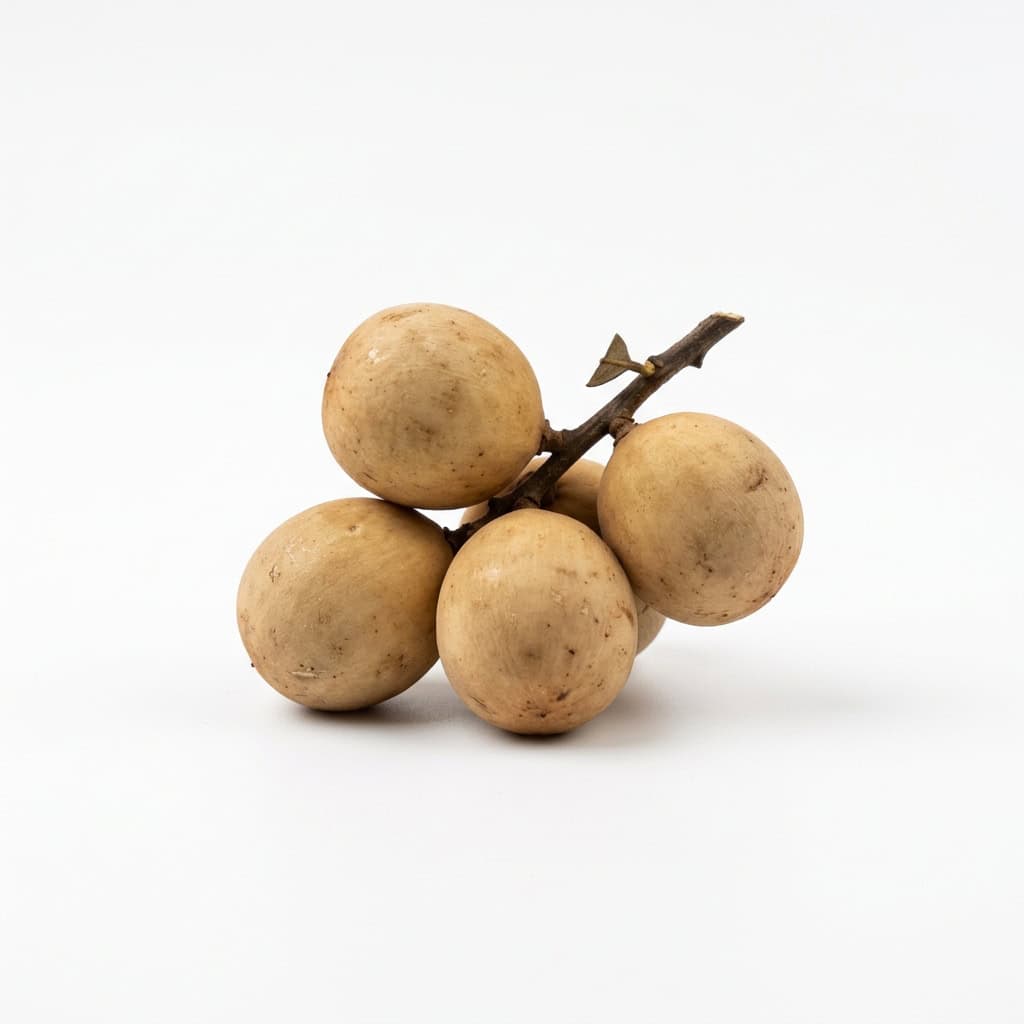 Langsat - Fruits that Start with L with Pictures