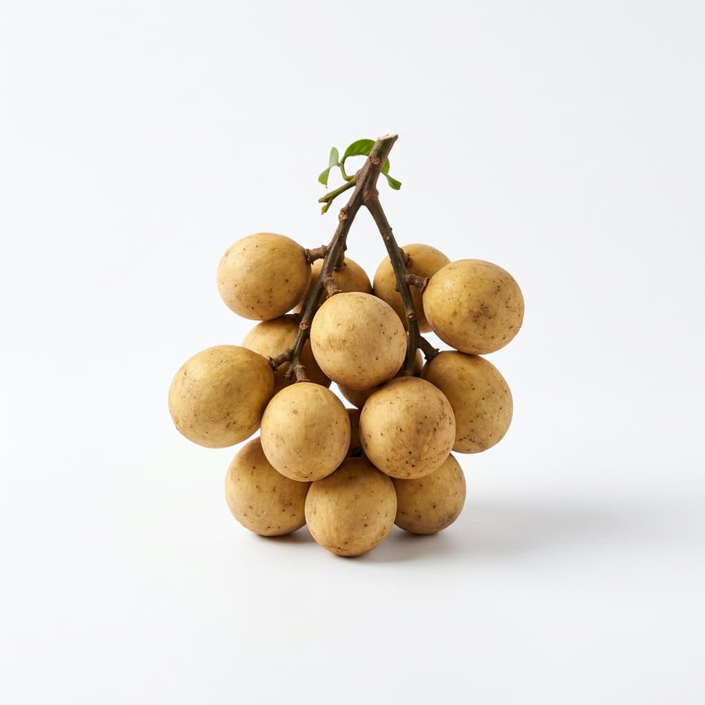 Lanzones - Fruits that Start with L with Pictures