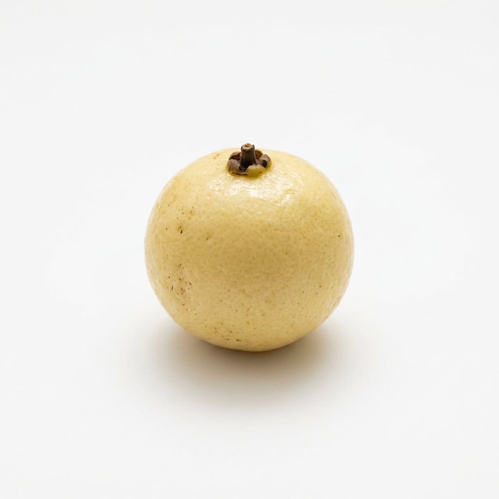 Lemon Aspen - Fruits that Start with L with Pictures