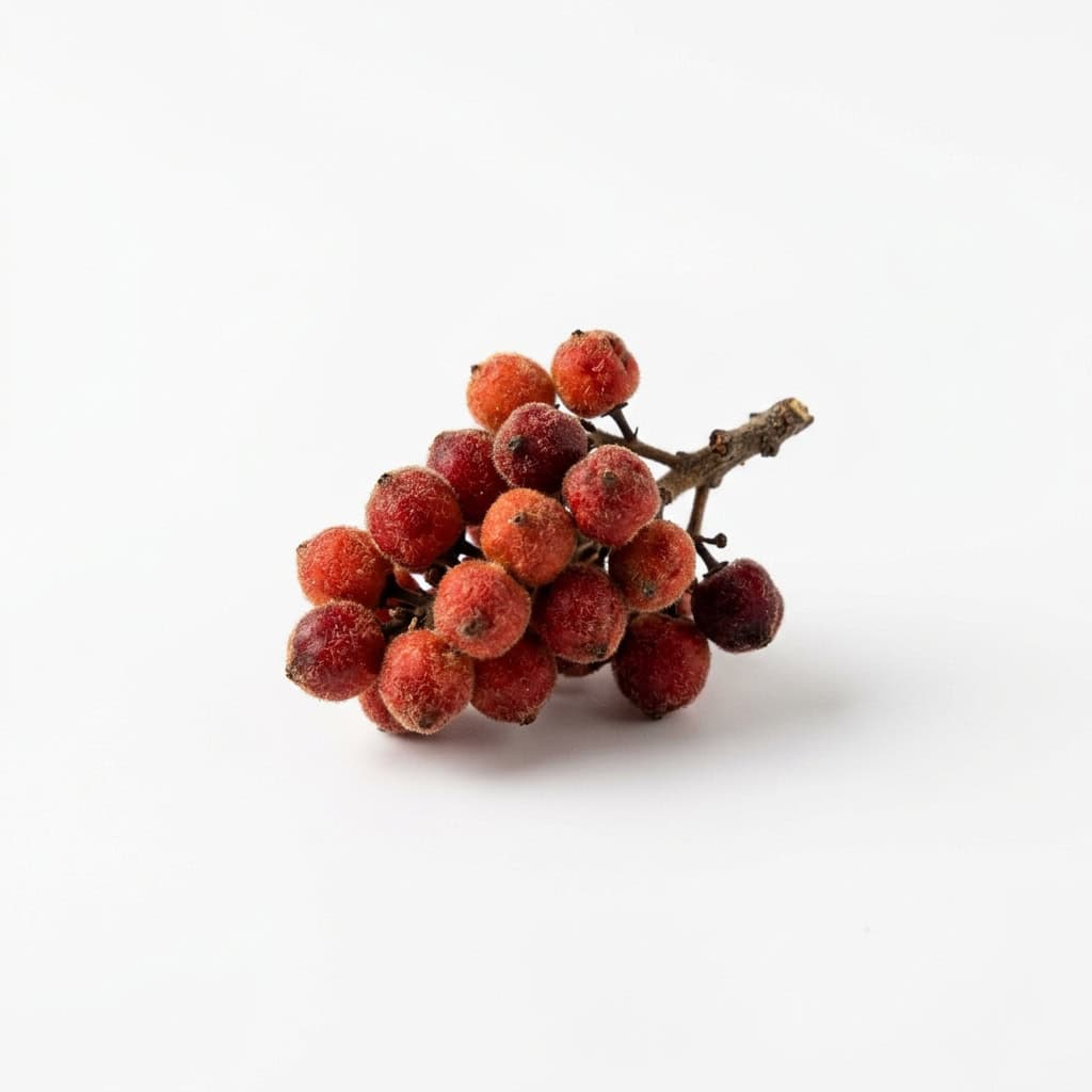 Lemonade Berry - Fruits that Begins with L