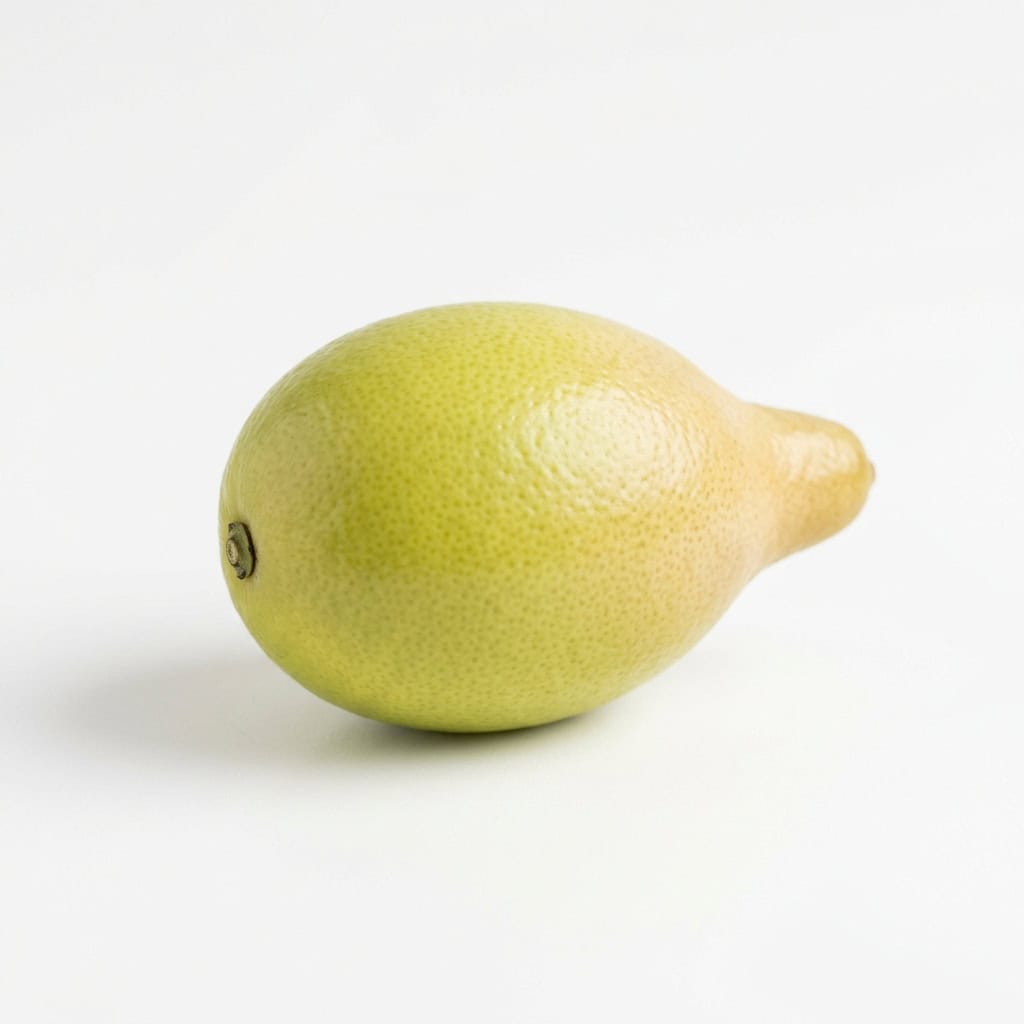 Limequat - Fruits that Begins with L