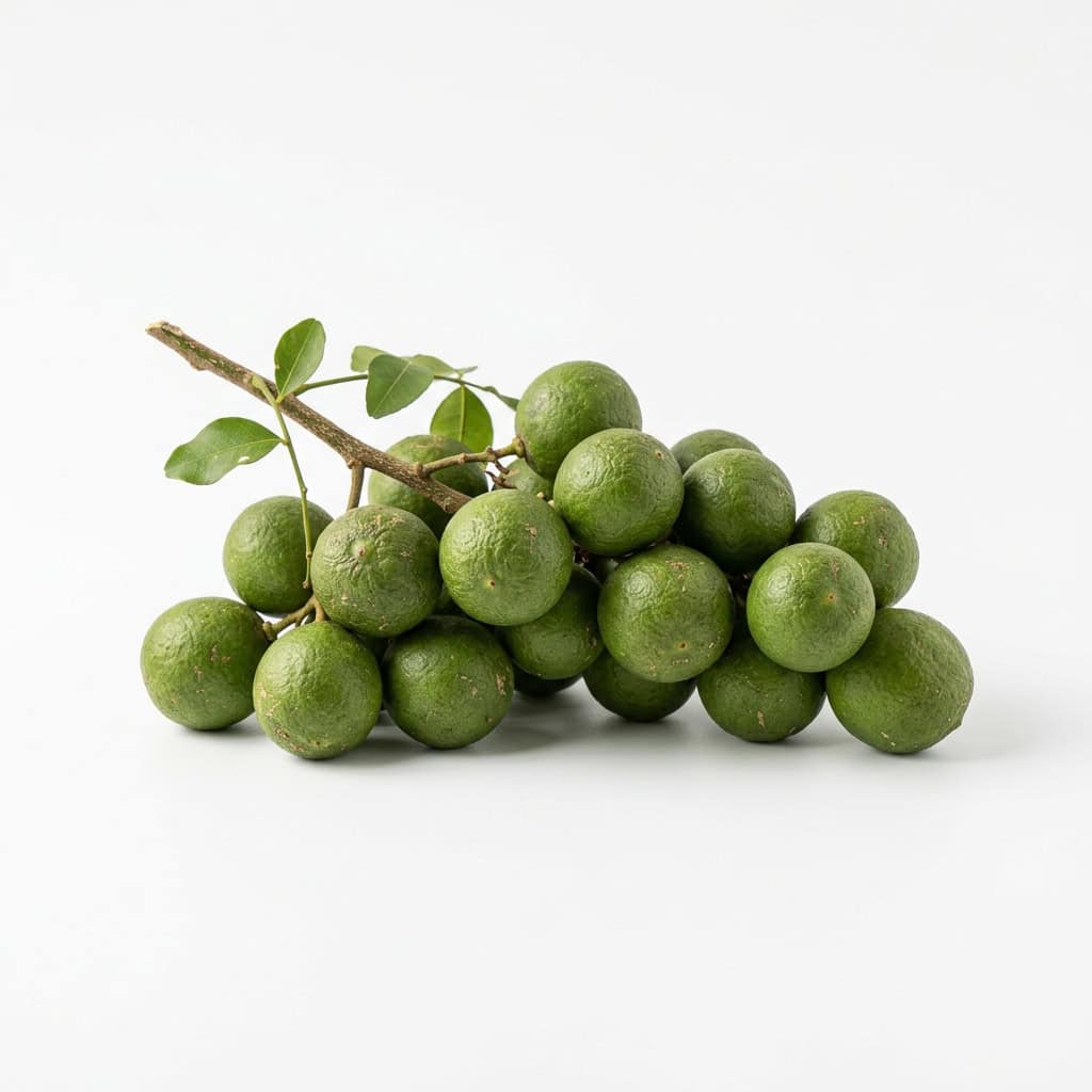 Limoncillo (Spanish Lime)