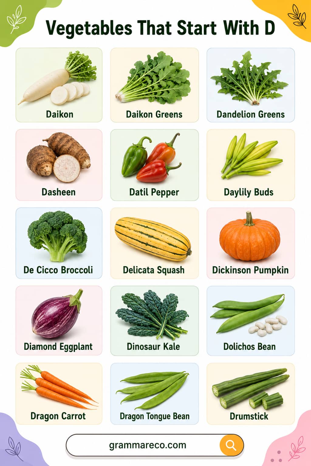 List of 20 Vegetables that Start with D