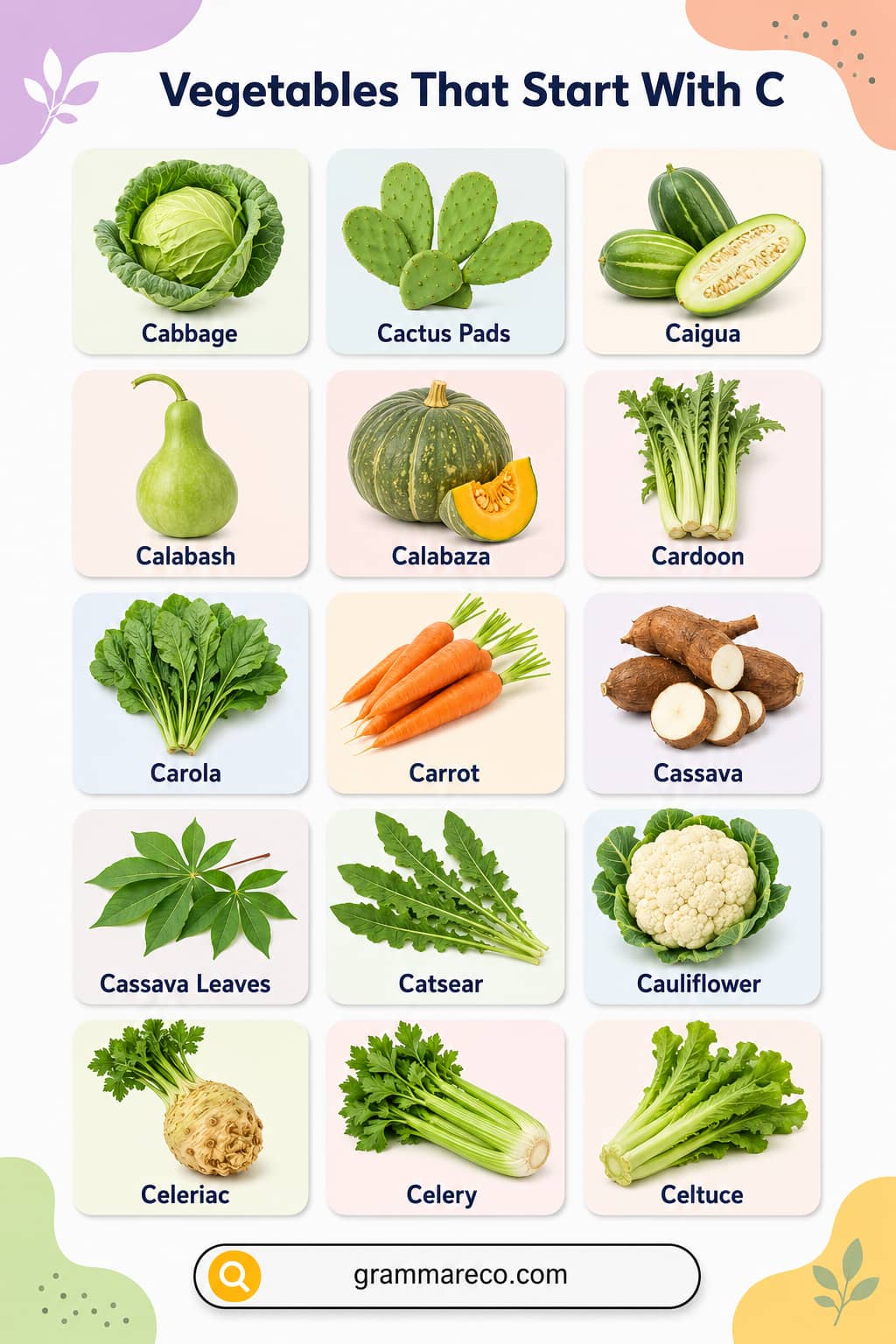 List of Vegetable that Starts with C