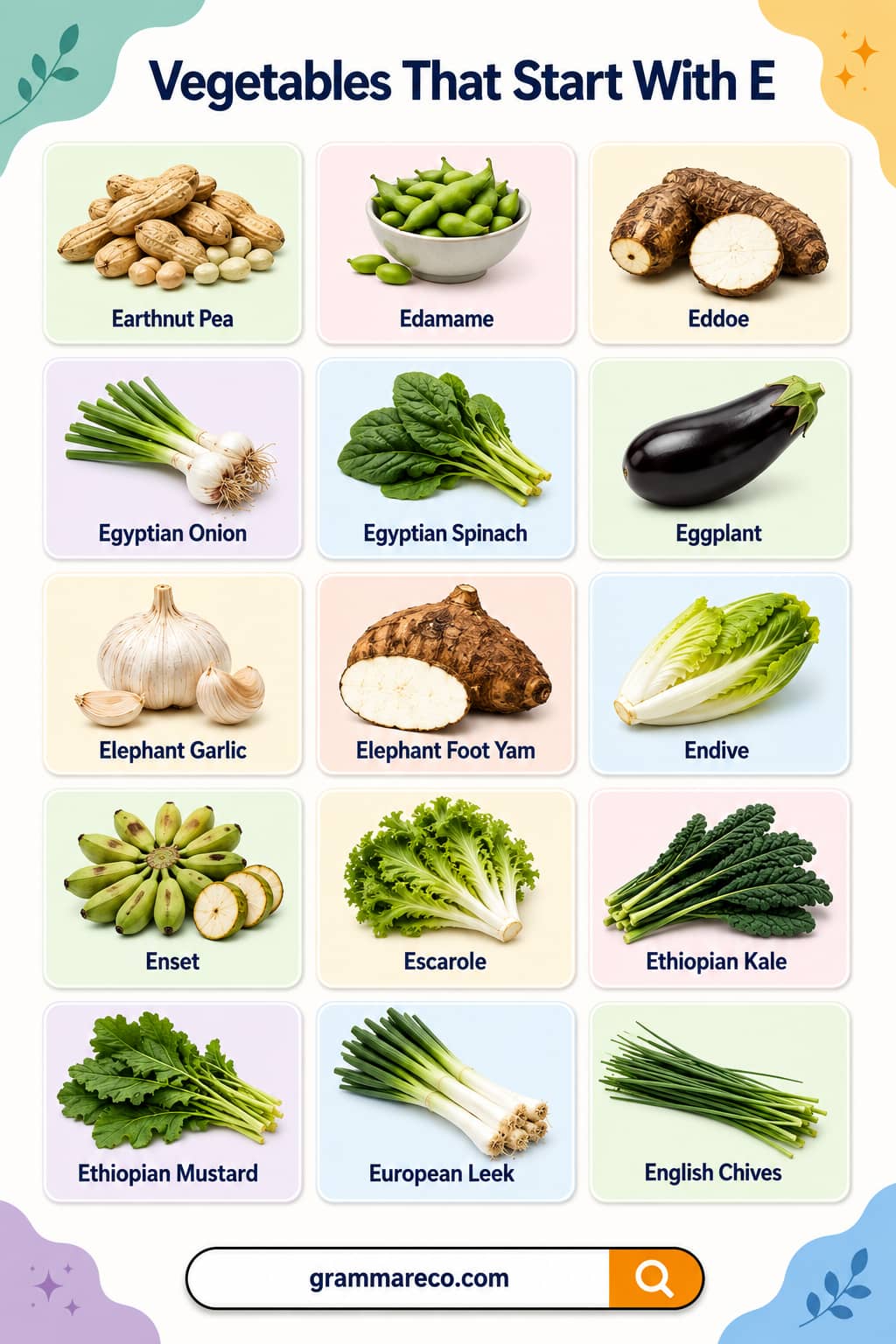List of Vegetables Beginning with E with Names
