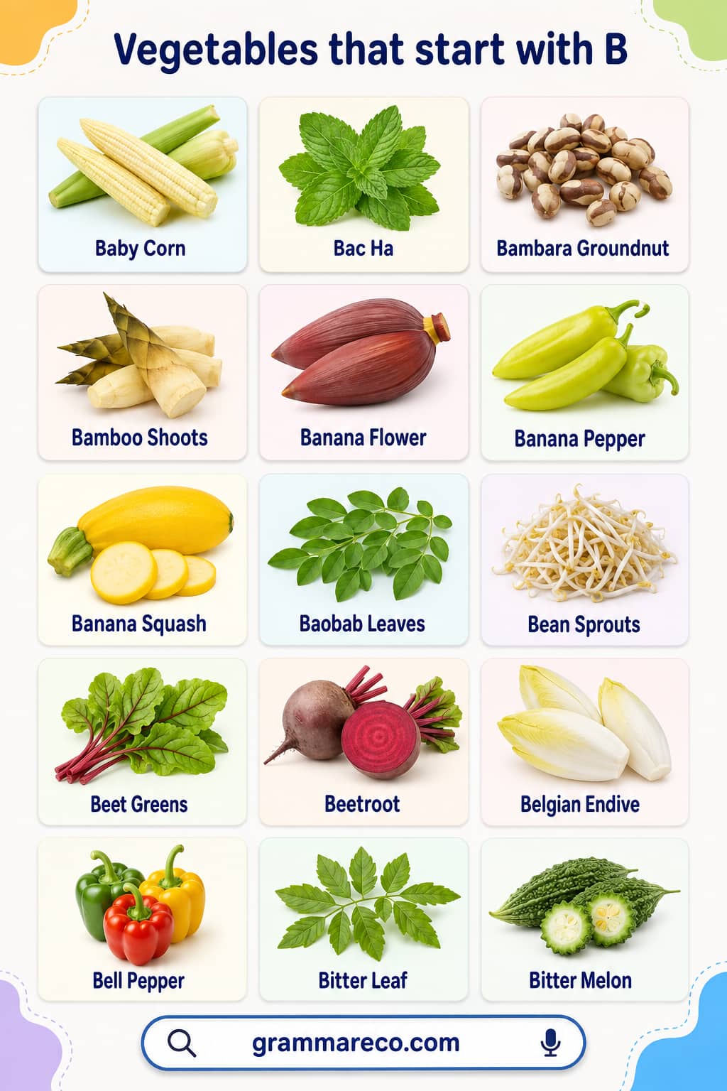 Vegetables that Start with B with Pictures and Names