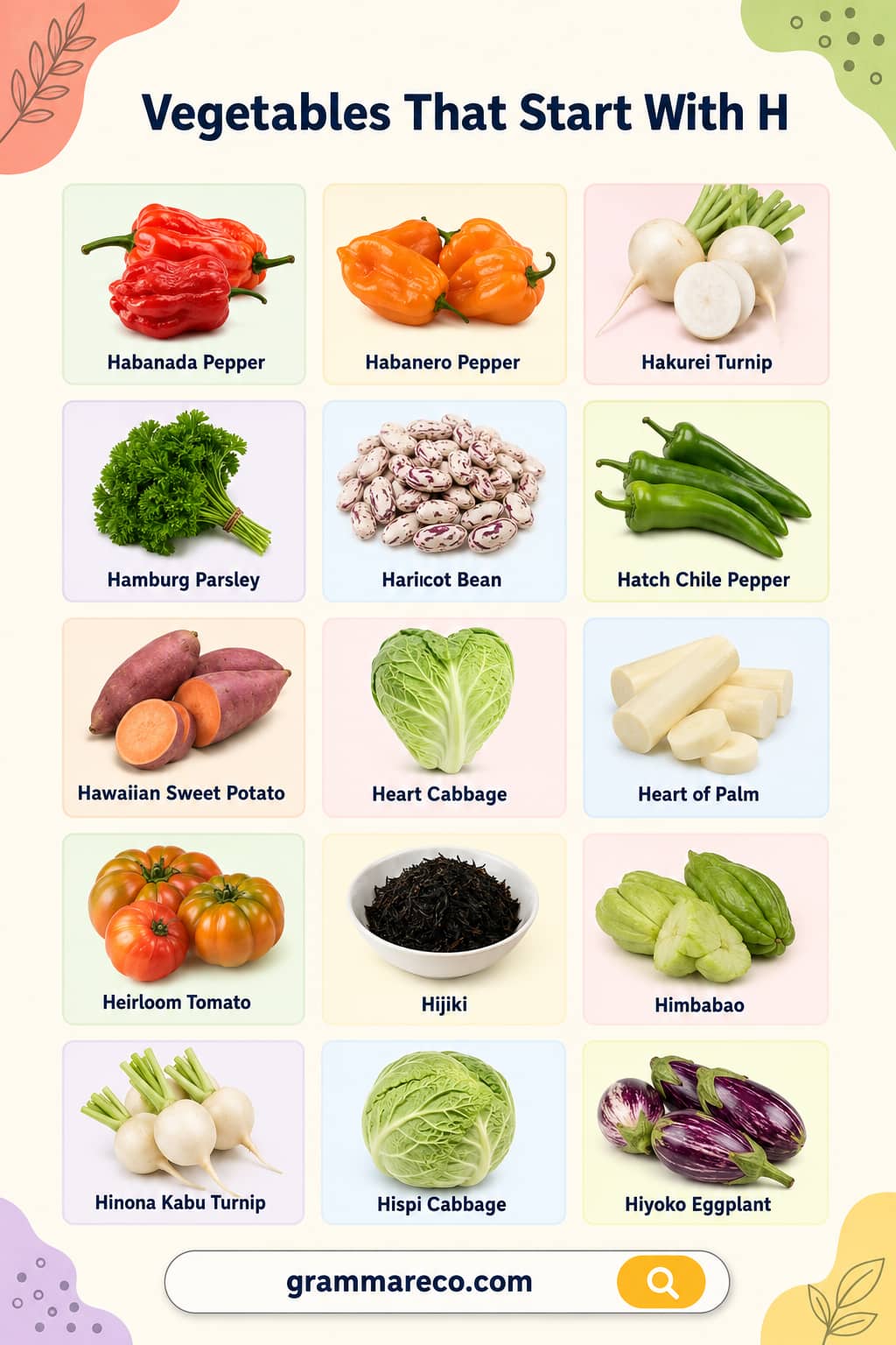 List of Vegetables Starting with H Letter