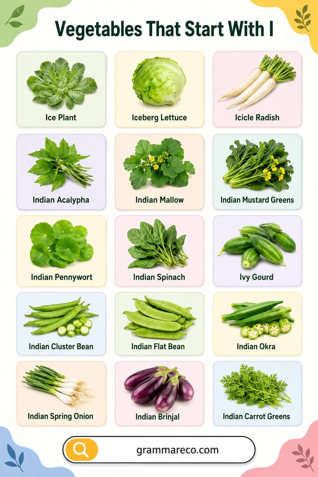 List of Vegetables Starting with I with Pictures