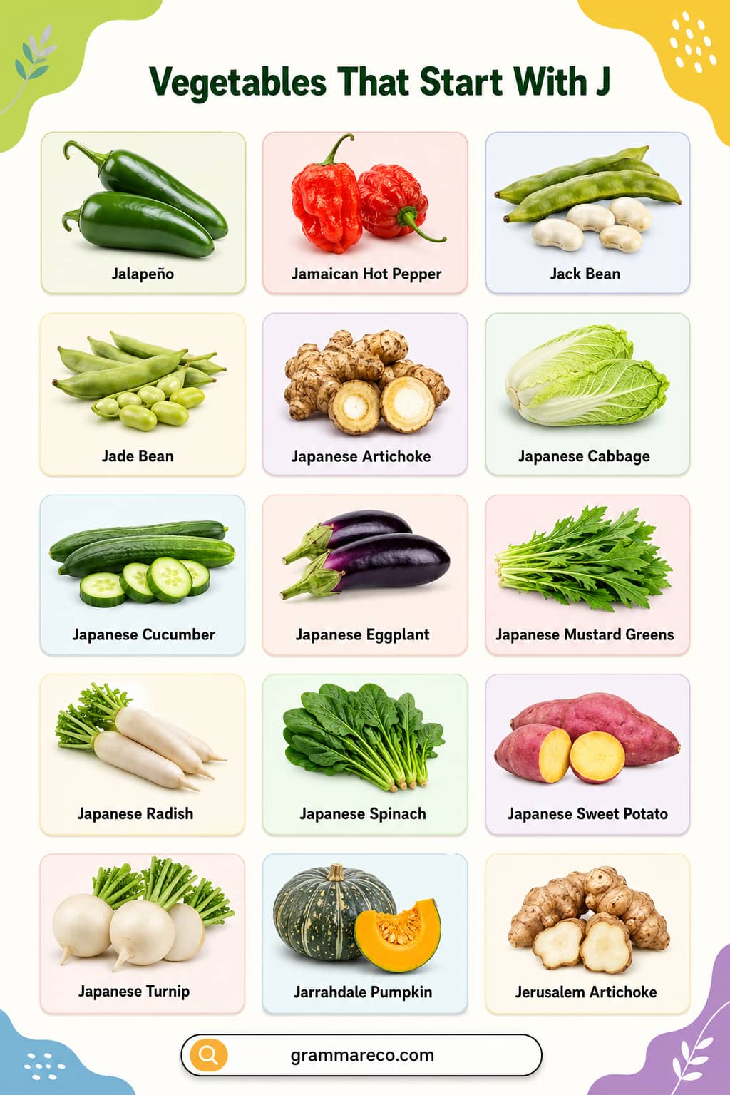 Vegetables that Start with J with Pictures