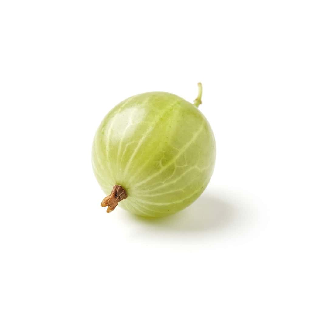 Little Gooseberry