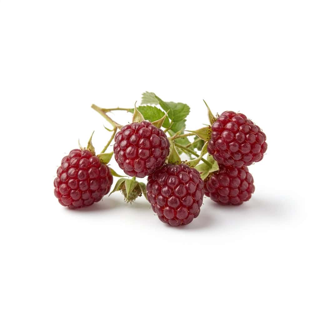 Loganberry - Fruit Starting with L Letter