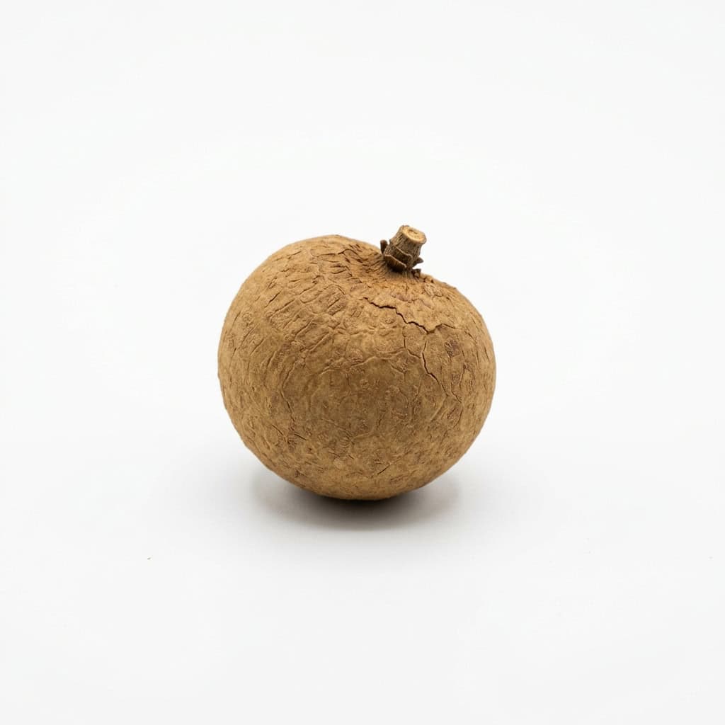 Longan - Fruit Starting with L Letter