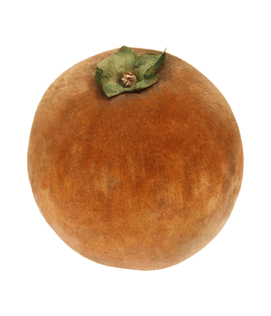Mabolo