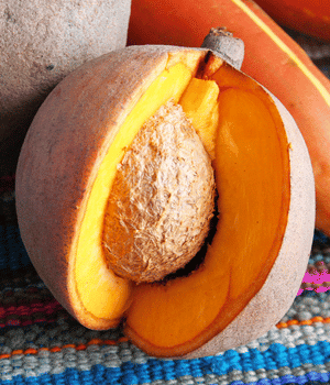 Mamey Sapote Fruit