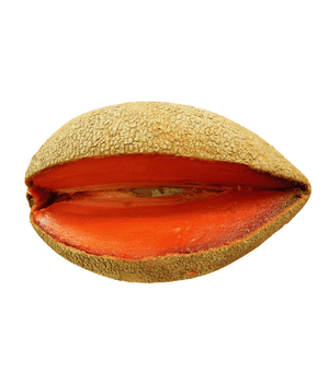 Mamey Sapote - Brown Fruits and Pictures