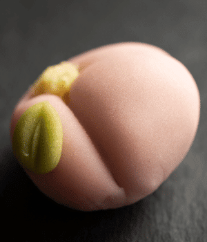 Nerikiri - Snacks that Start with N
